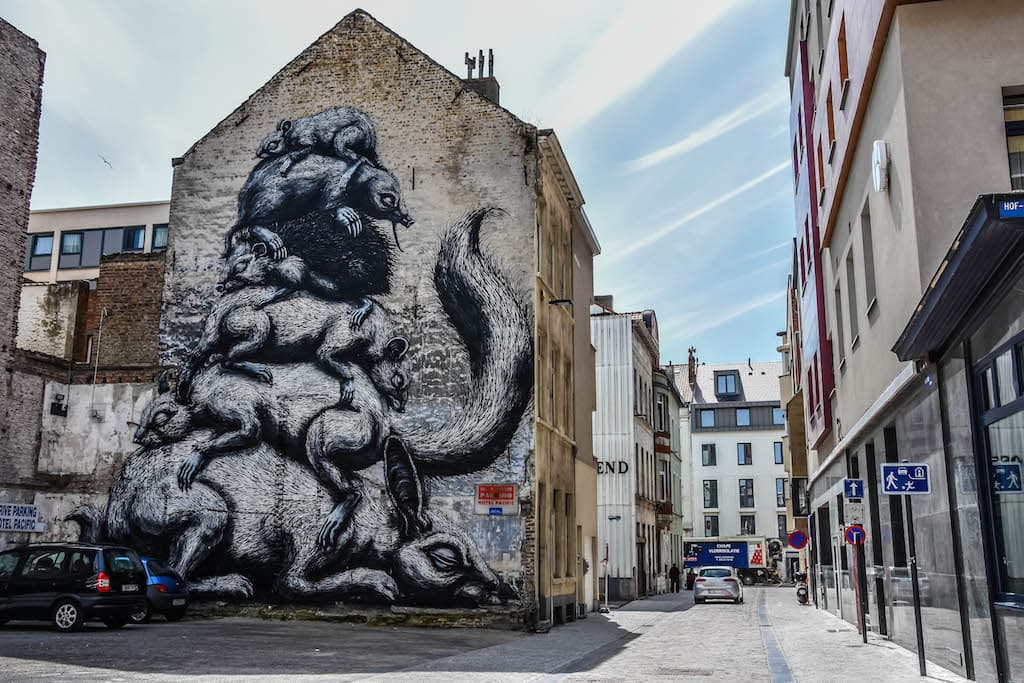 Roa
